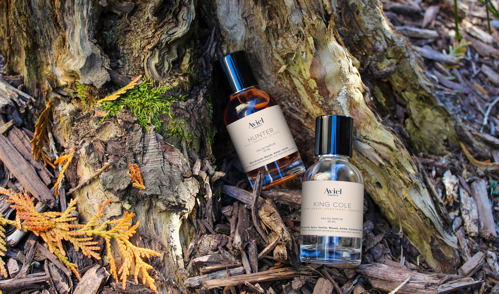 Aviel Toronto - 50ml Fragrances