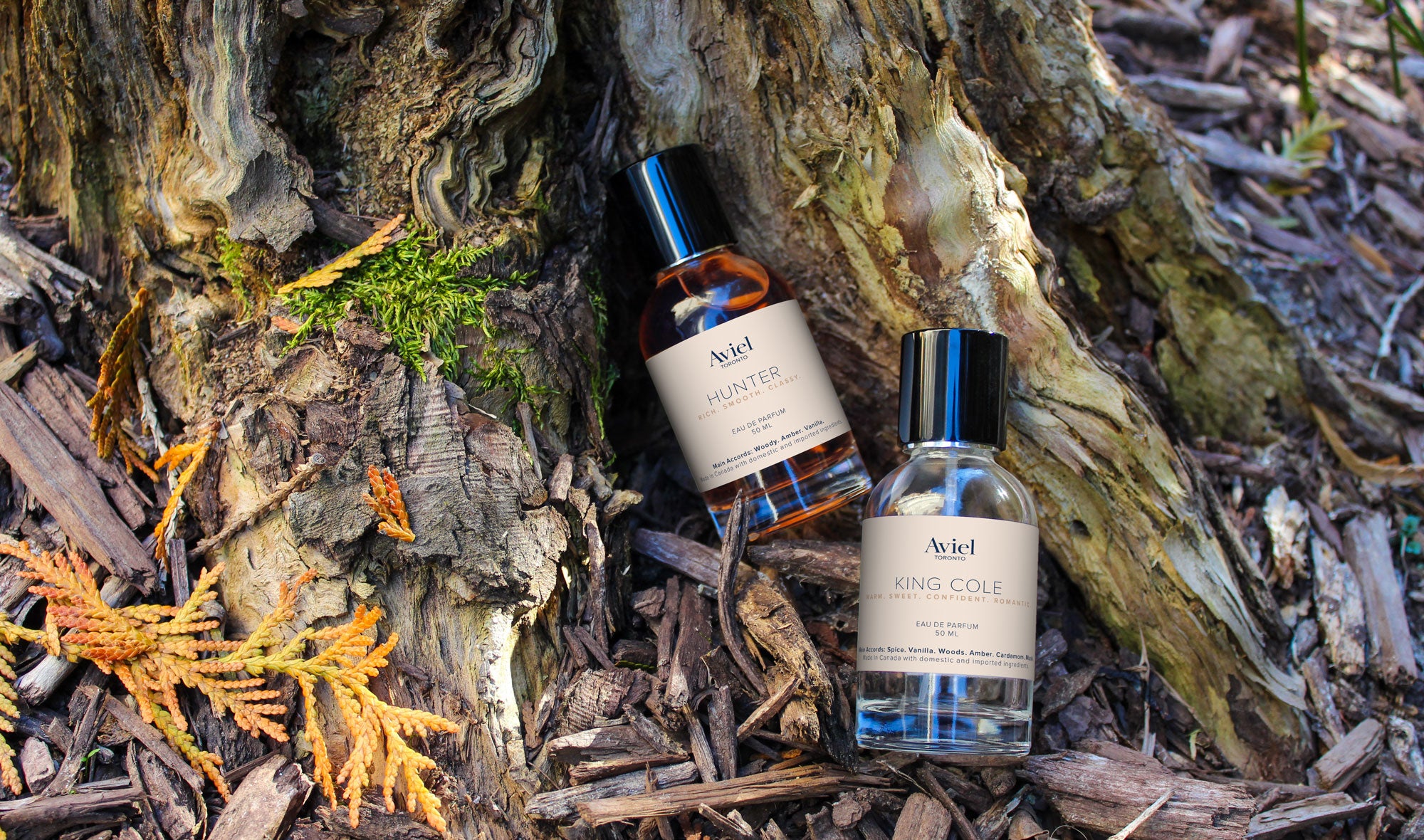 Aviel Toronto - 50ml Fragrances
