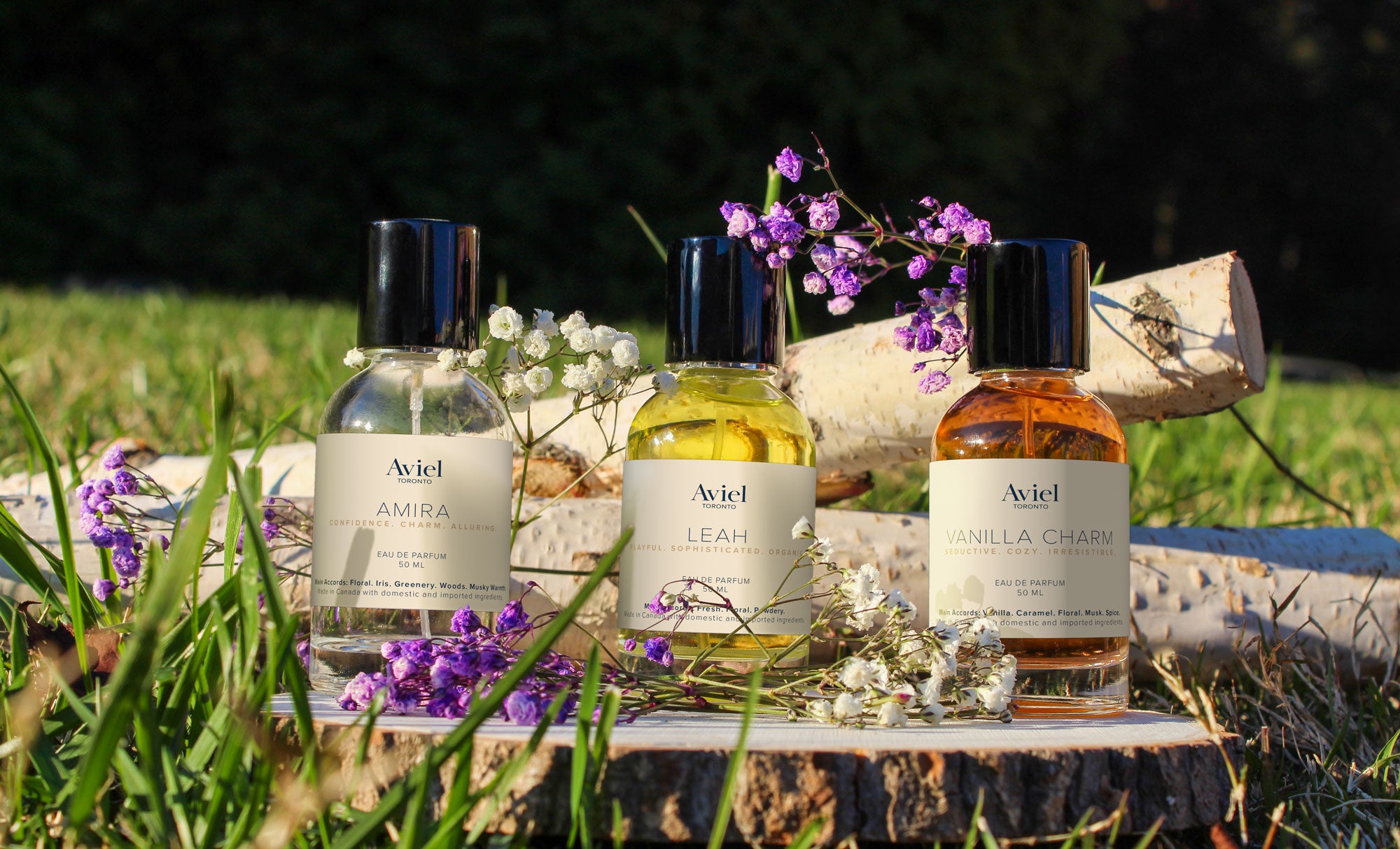 Aviel Toronto - 50ml Fragrances