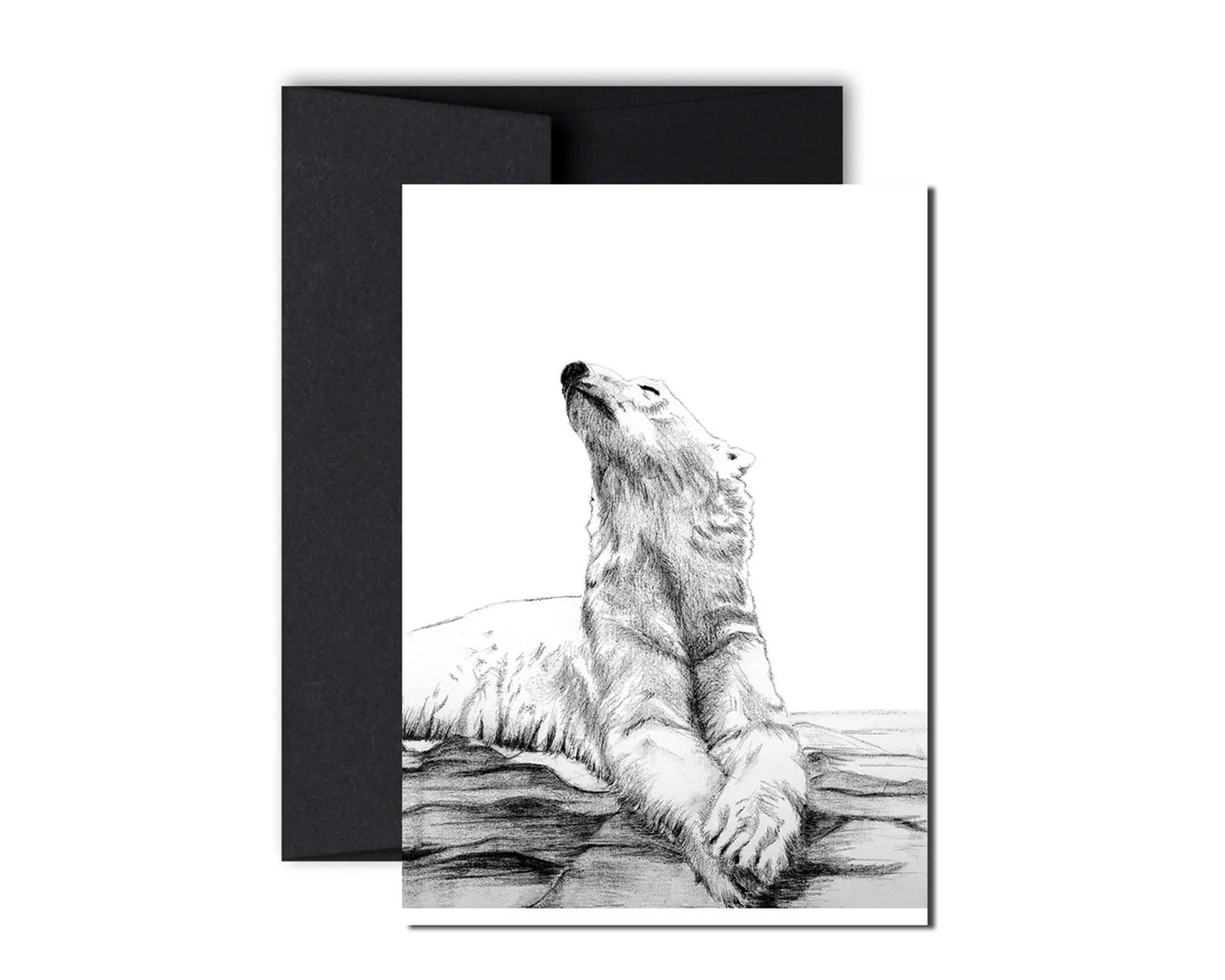 LN POLAR BEAR SUN CARD