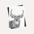 LN STAG CARD