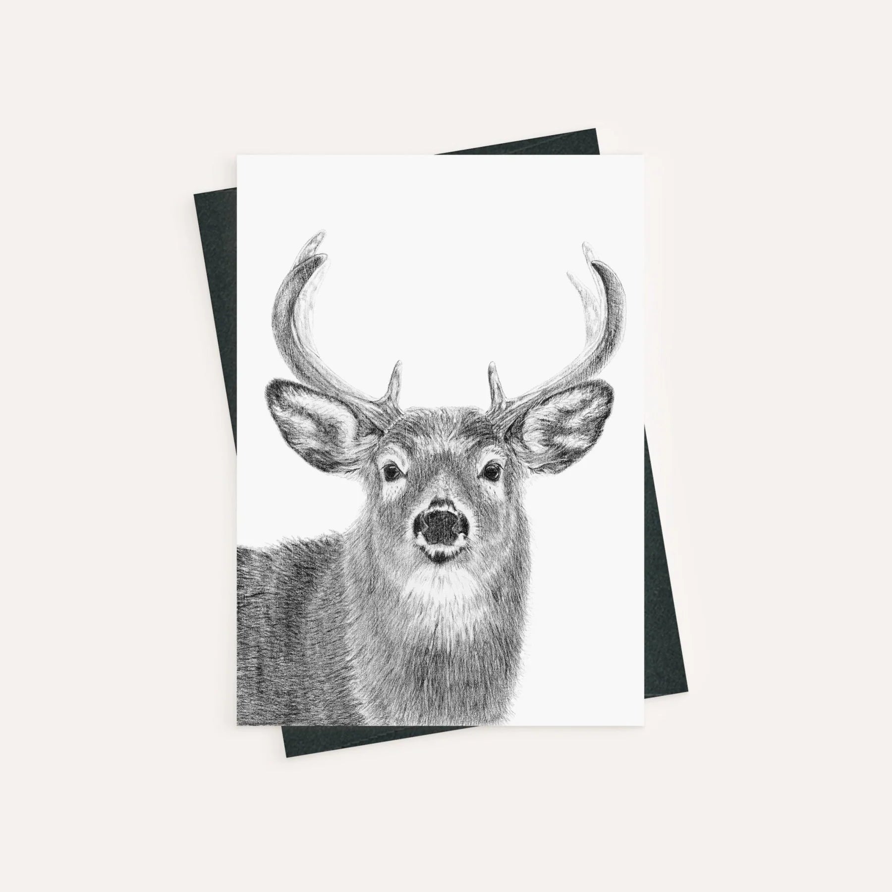 LN STAG CARD